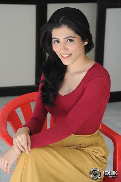 Gazal-Somaiah-at-The-End-Movie-Press-Meet